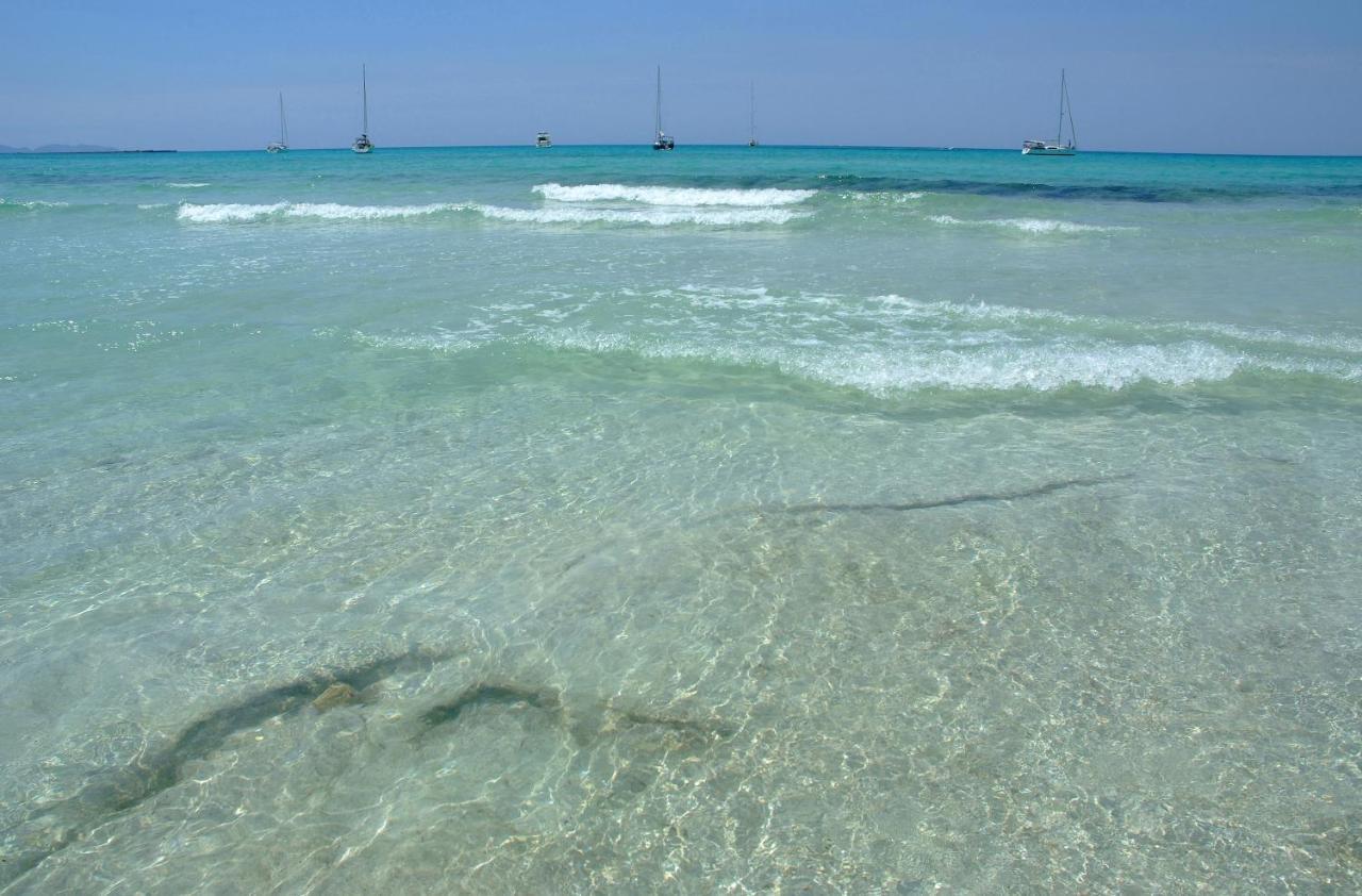 Finca Tiana Ses Salines  Eksteriør bilde
